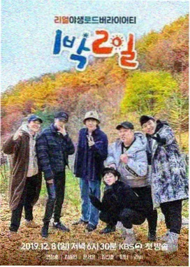 一小时露营